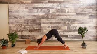 July 5, 2020 - Lindsay Saxon - Vinyasa Flow