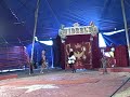 Vidbel Circus Archery