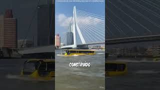 Download lagu Por Que O Homem Dirigiu O Ônibus Para O Mar? 😱🚌 mp3 Download lagu Por Que O Homem Dirigiu O Ônibus Para O Mar? 😱🚌 mp3