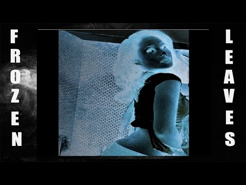 Video thumbnail for The Return Of SpaceGhostPurrp 2024