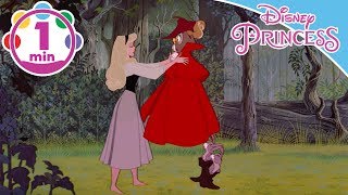 Sleeping Beauty | Once Upon A Dream | Disney Princess