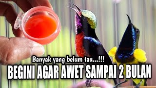 Download lagu 🔴AWET SAMPAI 2 BULAN TIDAK BASI TIDAK BERBUSA LIHAT TRIKNYA‼️ mp3