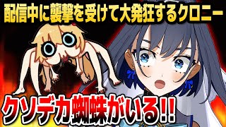 【放送事故】配信中に巨大クモの襲撃を受けて大発狂するクロニーwww【ホロライブEN切り抜き/オーロ・クロニー/日本語翻訳】