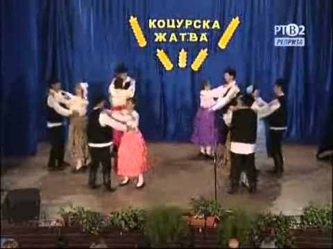 KOCURSKA ŽATVA 2010.  (virivok)
