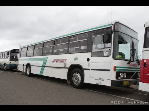 Forest Coach Lines [Terrey Hills] Volvo B10M Mk II / Custom Coaches 200, m/o 7049
