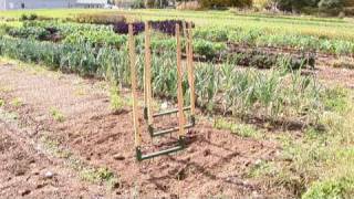 How to Aerate Your Soil