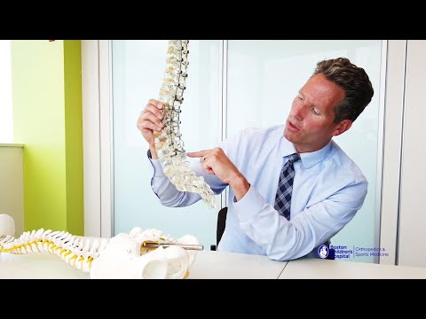Introduction to Spinal Fusion Surgery | Boston Children’s Hospital