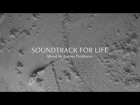 MOONGLADE x ANDREY PUSHKAREV