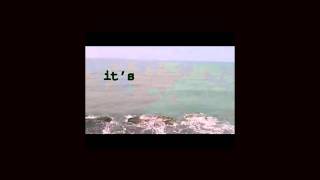 bukowski genius text project.mov