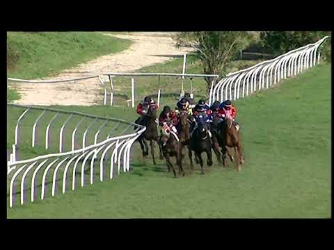 Napoli Galoppo 16/02/2021 - 4ª corsa