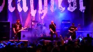 Razor - The Pugilist (MDF 2015)