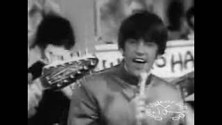 Paul Revere &amp; The Raiders - Don&#39;t Take It So Hard HAPPENING