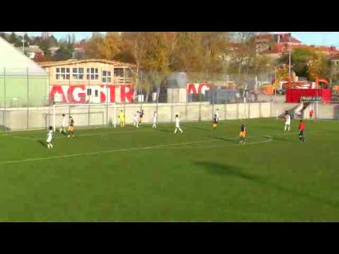 Marco Hödl Tore Rapid 2014