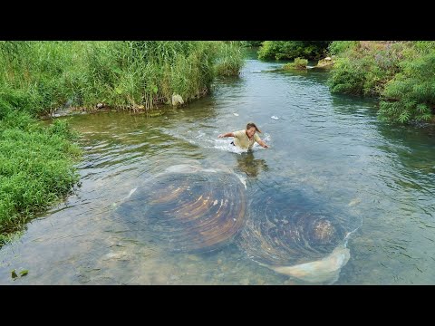 The girl discovered the clams being hugged, with pearls emitting a unique charm inside