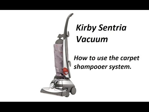 homemade kirby shampoo