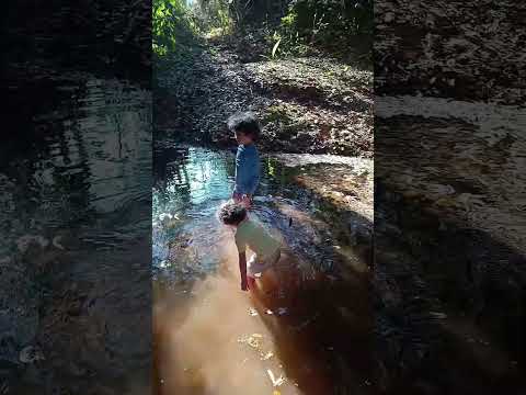 Lucca e Zion brincando num riacho próximo ao Meu Sonho, Água Fria de Goiás.
