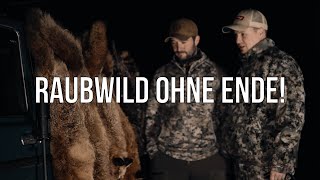 Freunde der Jagd - Folge 38 - Raubwildjagd in der Ranz! Füchse ohne Ende!