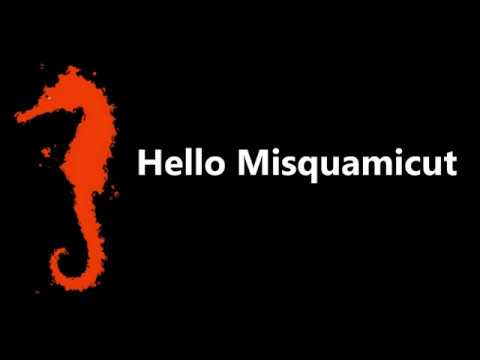 Hot Fuzz Fantastic - Hello, Misquamicut
