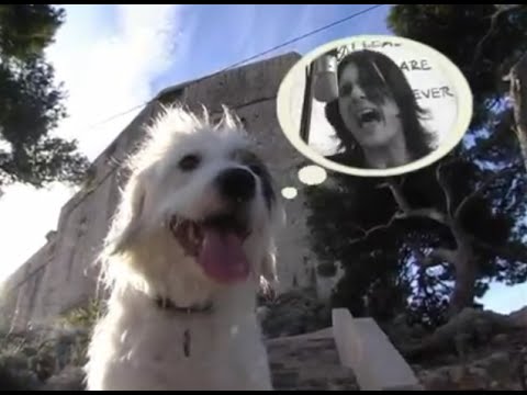 Gruhak - Gruhak Boogie (Official Video)