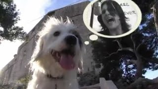 Gruhak - Gruhak Boogie (Official Video)