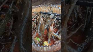 Download lagu Udang mentah bisa di makan? #shorts mp3