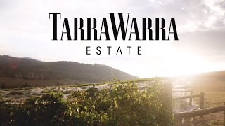 preview picture of video 'TarraWarra Estate - Find Your Way Here'