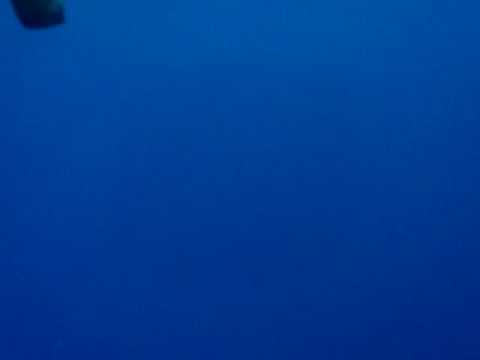 St. Johns, St. John´s Reef,Ägypten