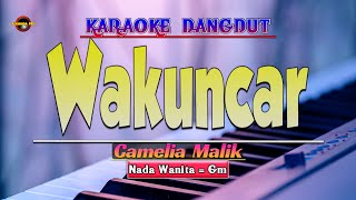 Download lagu Wakuncar Karaoke - Nada Wanita mp3