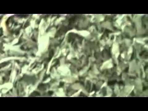 Double Zig Zag.avi.flv