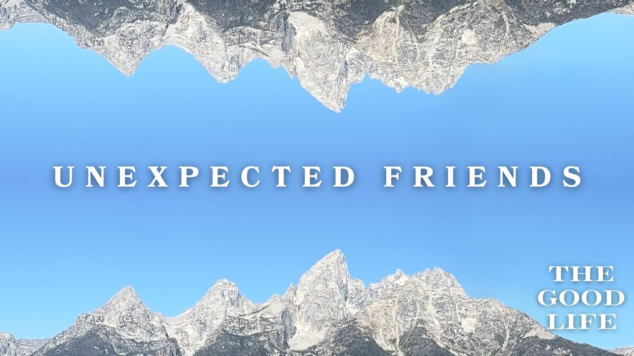 Unexpected Friends (1.2)