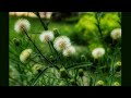 Marghazhi Poove  Bgm Song WhatsApp Status