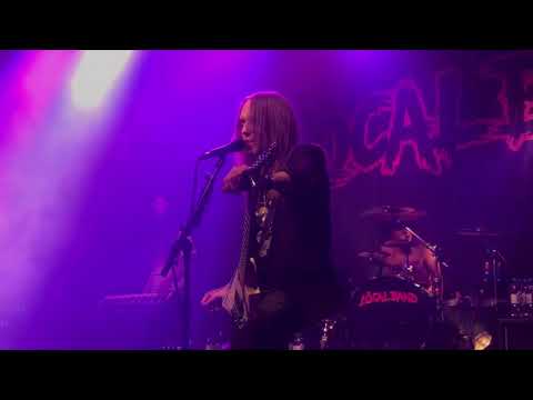 The Local Band - Untouched