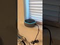 Alexa tiene un problema: no puede dejar de decir &laquo;la, la, la&raquo;