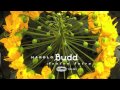 Harold Budd - It's Steeper Near the Roses (For David Sylvian)
