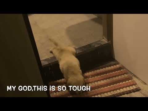 #1 when aishu is stuck again❤️😂