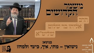 הרב אליהו בר שלום | משמר הקדושים | נישואין - מתי, איך, כיצד ולמה? | כ"ט תמוז תשפ"ה | ישיבת מרכז הרב (ישיבת מרכז הרב) - התמונה מוצגת ישירות מתוך אתר האינטרנט יוטיוב. זכויות היוצרים בתמונה שייכות ליוצרה. קישור קרדיט למקור התוכן נמצא בתוך דף הסרטון הרב אליהו בר שלום | משמר הקדושים | נישואין - מתי, איך, כיצד ולמה? | כ"ט תמוז תשפ"ה | ישיבת מרכז הרב (ישיבת מרכז הרב) - התמונה מוצגת ישירות מתוך אתר האינטרנט יוטיוב. זכויות היוצרים בתמונה שייכות ליוצרה. קישור קרדיט למקור התוכן נמצא בתוך דף הסרטון