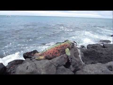 Galapagos islands. Floreana.