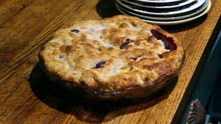 A Blueberry Harvest: From You-Pick to Pie