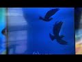 Bambi 1942 I Ll Bring You A Song French 1979 Higher Quality