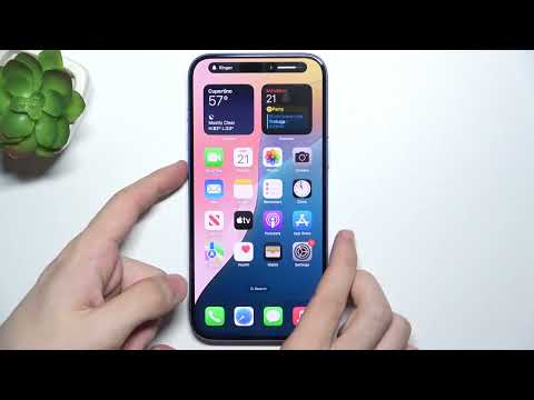 How to Adjust Ringtone Volume on APPLE iPhone 16 Plus