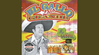 Doce Gallinas y Un Gallo