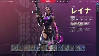 ランク更新目指してVALORANT配信2