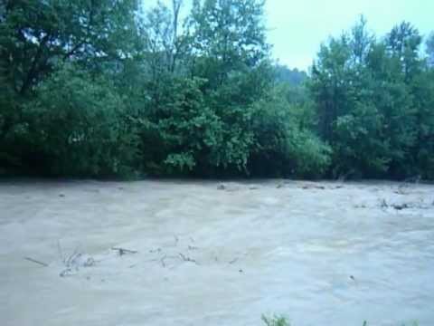 BOŢEŞTI ARGEŞ Cârcinovul 30 mai 2012