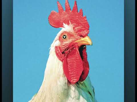 legallyrxx - SANTOBELLAKO