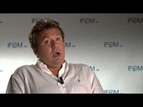 The control of genome integrity and their importance for the cell