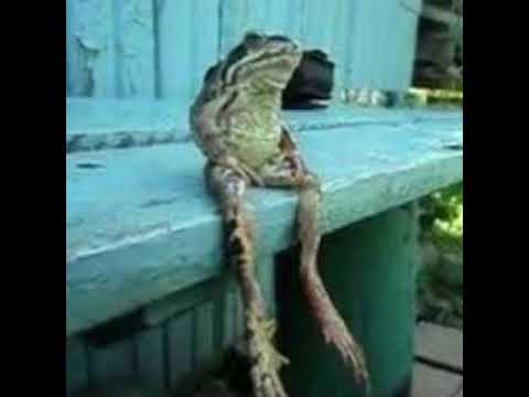 Negative XP - Cry 4 Help