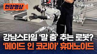 강남스타일 ‘말 춤’ 추는 로봇…중국에 맞선 ‘메이드 인 코리아’ 휴머노이드 [현장영상] / 채널A