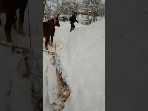 Manz un an si opt luni