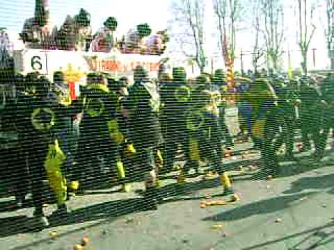 aranceri pantera nera 2011