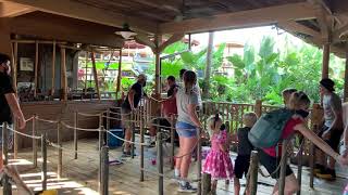 Fight while in line for Jungle Cruise at Disney’s Magic Kingdom Park.